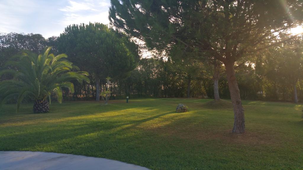 Apartamentos Clube Da Bemposta Alvor Oda fotoğraf